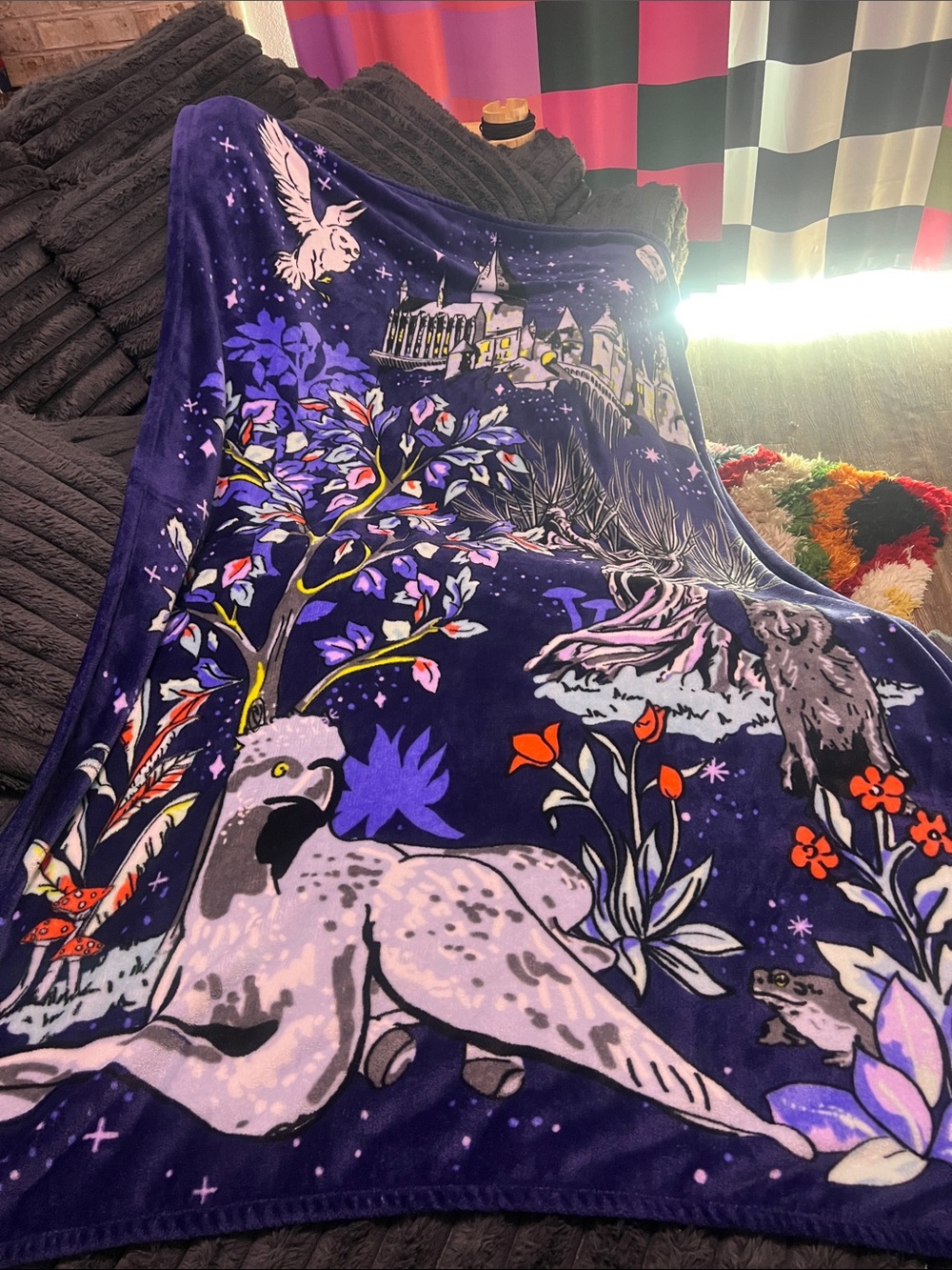 Vera Bradley Harry Potter Throw Blanket